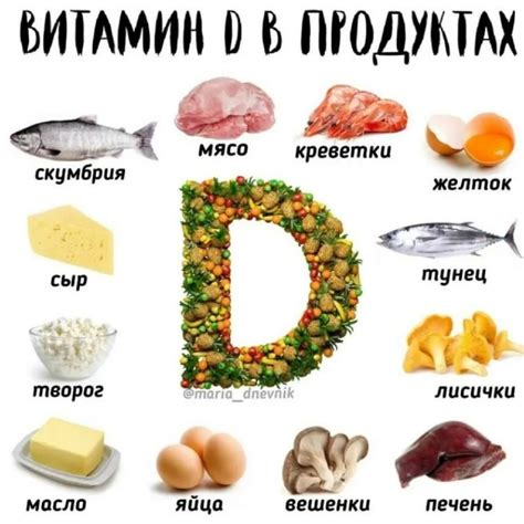 Растительные продукты, богатые витамином Д