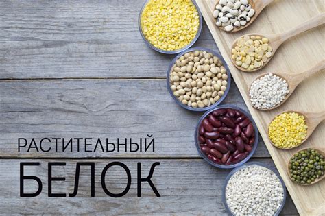 Растительный белок: преимущества и особенности