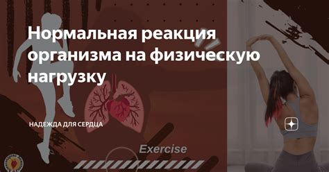 Реакция мышц на физическую нагрузку