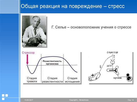 Реакция организма на стресс