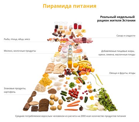 Регулируйте питание и обеспечьте достаточное количество питательных веществ