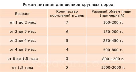 Режимы и частота кормления