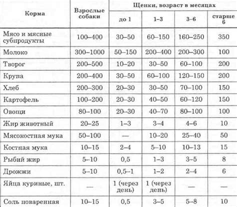 Режим кормления маленькой ласточки