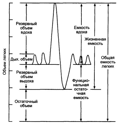 Результаты спирометрии и их интерпретация