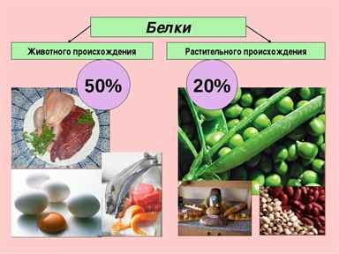 Рекомендации о пропорции потребления растительного и животного белка