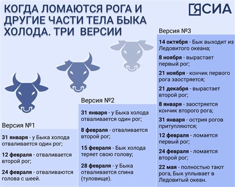 Рекомендации при сновидениях о быке