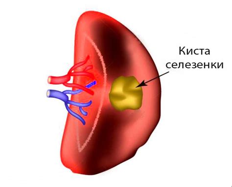 Риски и опасности употребления АЦЦ без наличия слизи