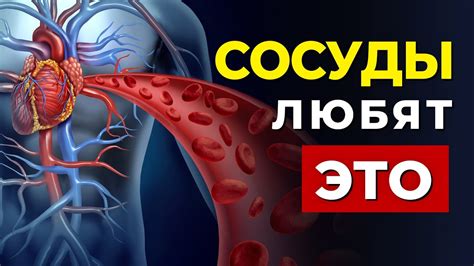 Риск для сердечно-сосудистой системы