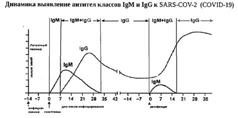 Роль антитела IgM в диагностике коклюша