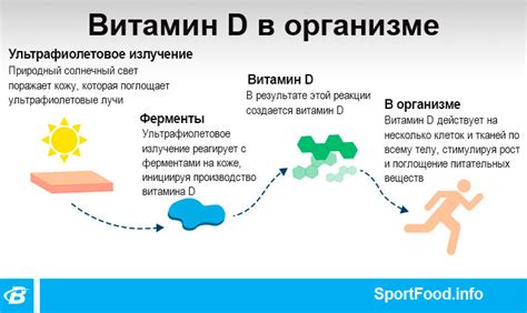 Роль витамина D в организме: как достичь нормы