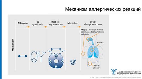 Роль генетики в развитии аллергических реакций