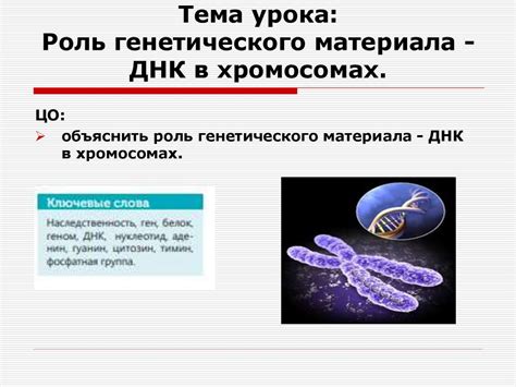 Роль генетического кода в биологии