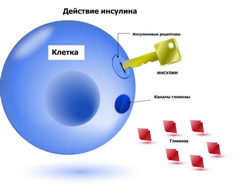 Роль глюкозы в медицине