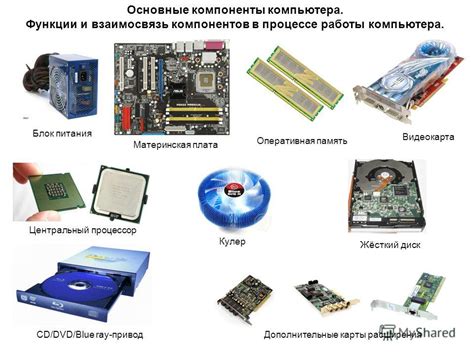 Роль и функции главных компонентов компьютера