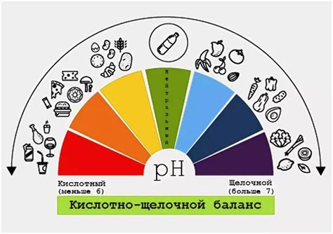 Роль кислотно-щелочного баланса для организма