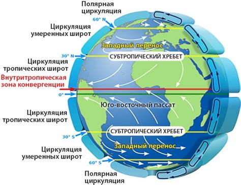 Роль климата и погоды в формировании веснушек