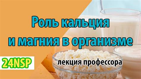 Роль магния в усвоении кальция глюконата