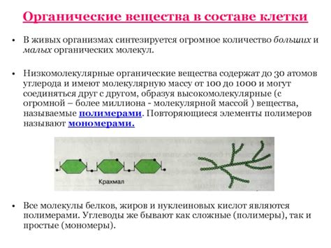 Роль молекул в организмах и живых организмах