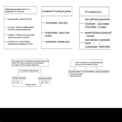 Роль рефлексов в организме