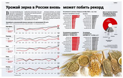 Роль рожи для урожайности нивы