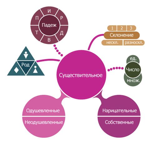 Роль существительного в русском языке