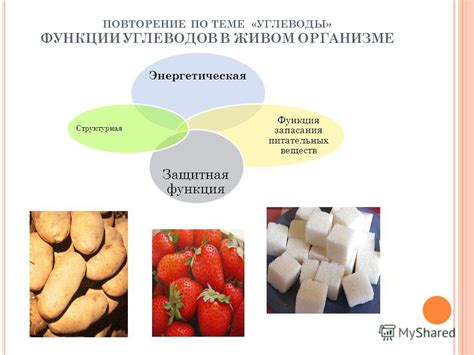 Роль углеводов в организме: важность и функции