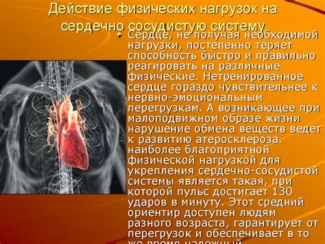 Роль физической активности в укреплении сосудов головного мозга