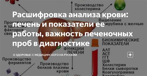 Роль Anti Hbcor Ag в диагностике печеночных заболеваний