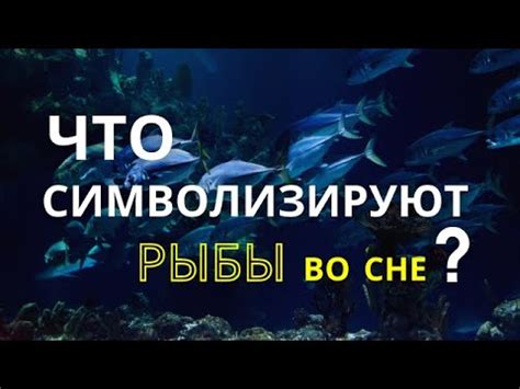 Рыжики во сне: что они символизируют?