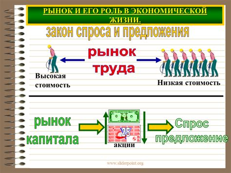 Рынок и его роль в микроэкономике