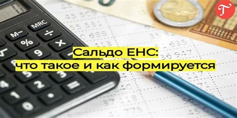 Сальдо ЕНС: главные аспекты и практическое применение