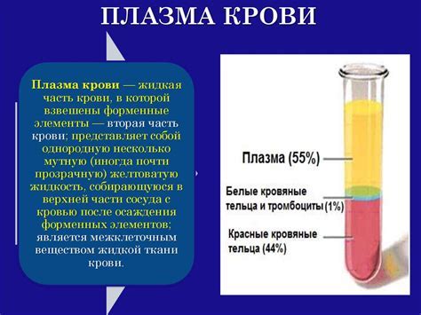 Самостоятельные способы восстановления крови