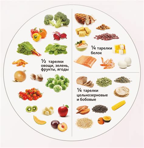 Сбалансированная диета и режим питания