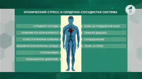 Связь между стрессом и избыточным слюновыделением