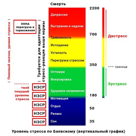 Связь нейромедиаторов с уровнем стресса и стабильностью психики