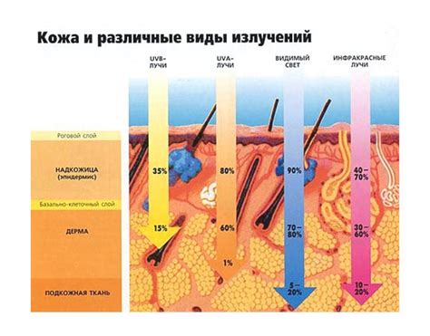 Связь родинок и воздействия солнечных лучей