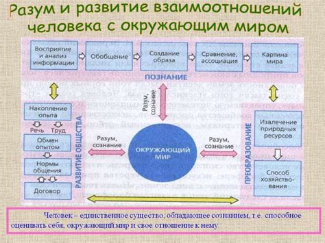 Связь с окружающим миром