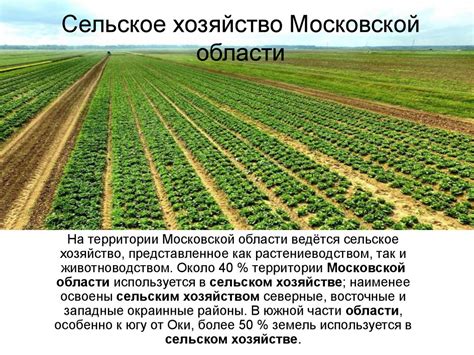 Сельское хозяйство Московской области