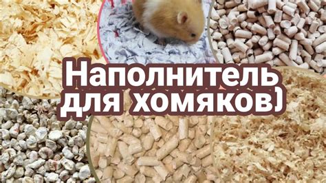 Сено и опилки: какой выбрать для собаки?