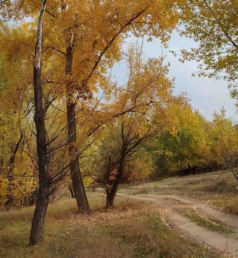 Сентябрь в саду и огороде: советы для действий