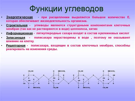 Сепидермидис 10 2: определение и распространение