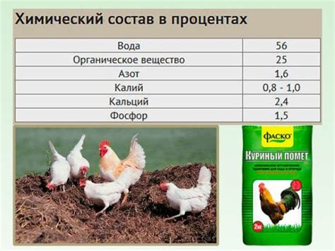 Символика куриного помета: сокрытые значения и ассоциации