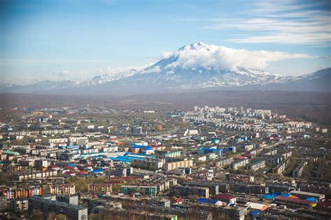 Символика медведей в сновидении