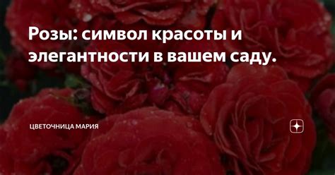 Символ красоты и элегантности