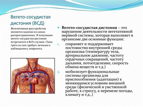 Симптомы вегето-сосудистой дистонии у мужчин