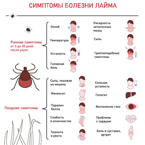 Симптомы возможного укуса клеща