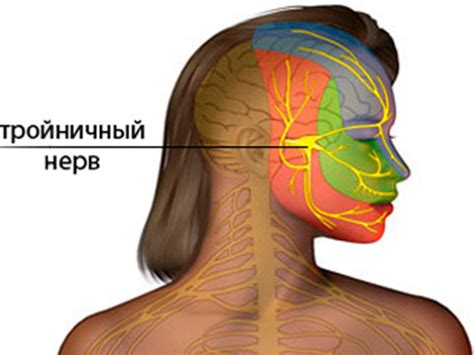 Симптомы воспаления тройничного нерва на лице