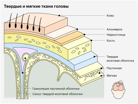 Симптомы открытой проникающей черепно-мозговой травмы