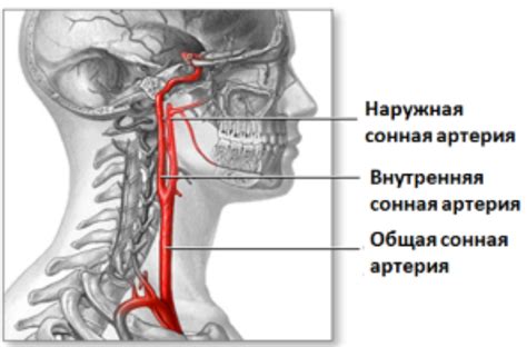 Симптомы сосудного разрыва головы