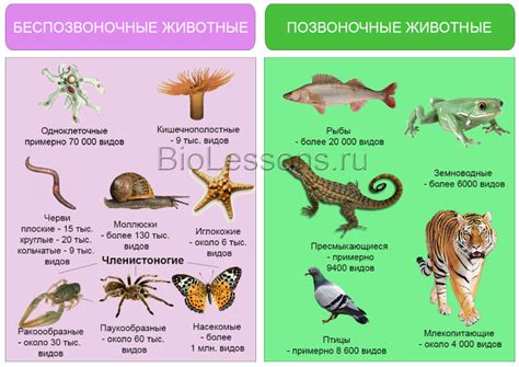 Систематика и классификация